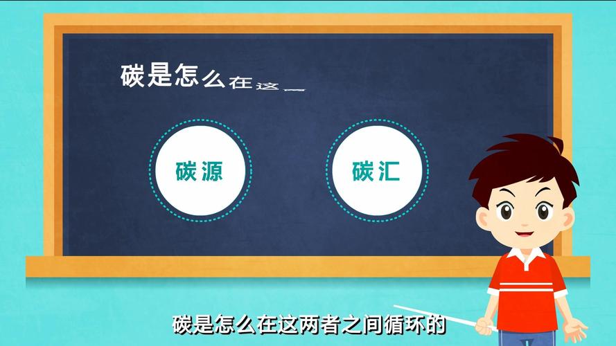 碳源的作用(什么是復(fù)合碳源)