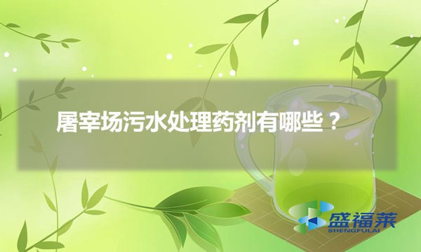 屠宰場(chǎng)污水處理藥劑有哪些(屠宰場(chǎng)污水用哪些藥劑)