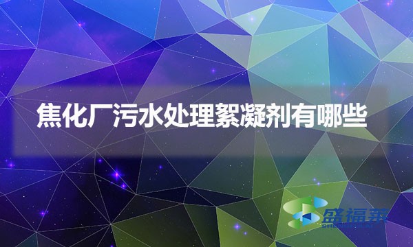 焦化廠污水處理絮凝劑有哪些(焦化廢水處理藥劑種類)
