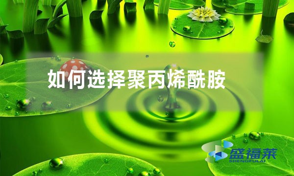 如何選擇聚丙烯酰胺