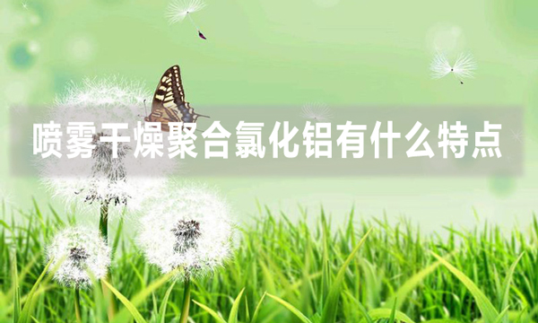 噴霧干燥聚合氯化鋁有什么特點(diǎn)(噴霧干燥聚合氯化鋁使用方法)