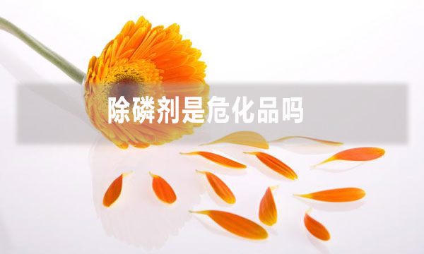 除磷劑是?；穯?></div>
            </a></li>
           

          <li id=