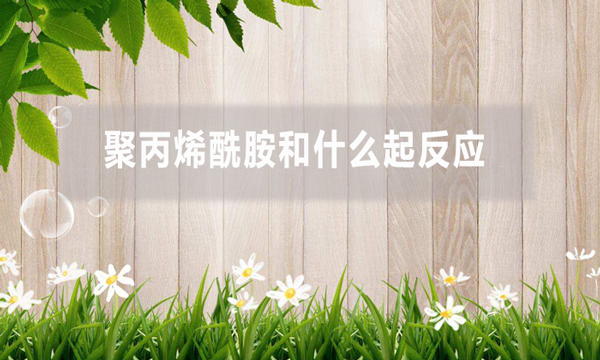 聚丙烯酰胺和什么起反應(yīng)