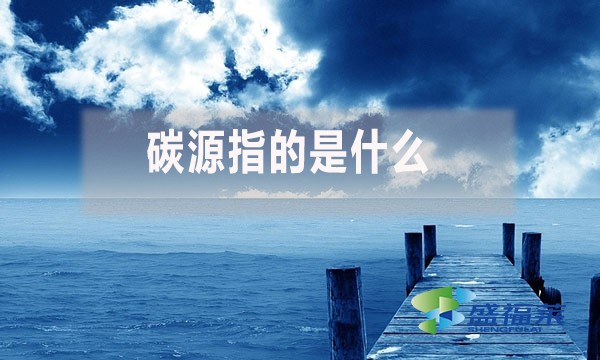 碳源指的是什么？