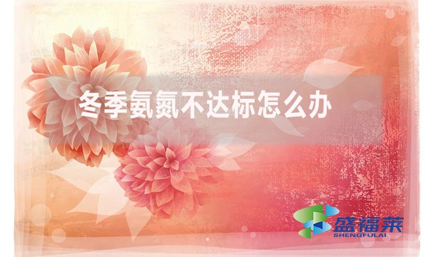 冬季氨氮不達(dá)標(biāo)怎么辦？