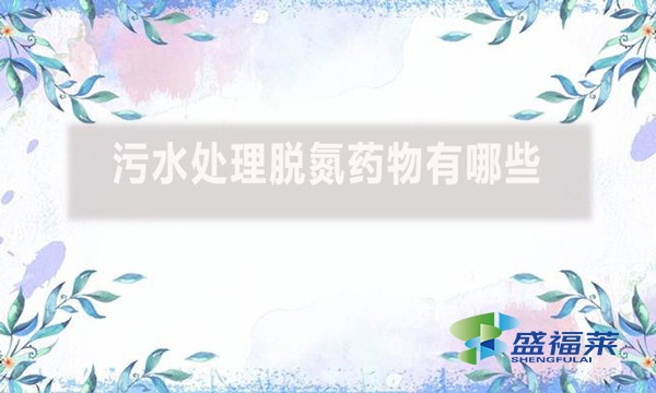 污水處理脫氮藥物有哪些？