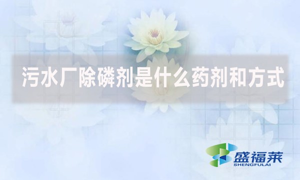 污水廠除磷劑是什么藥劑和方式？