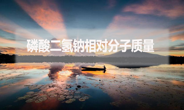 磷酸二氫鈉相對分子質(zhì)量是什么？應該怎么算？