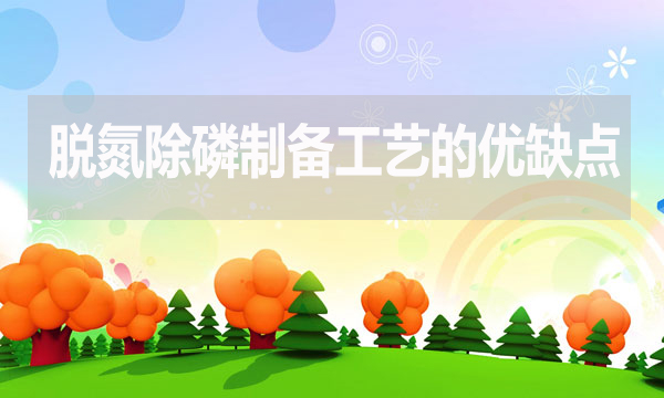 污水處理脫氮除磷制備工藝有哪些優(yōu)點和缺點？