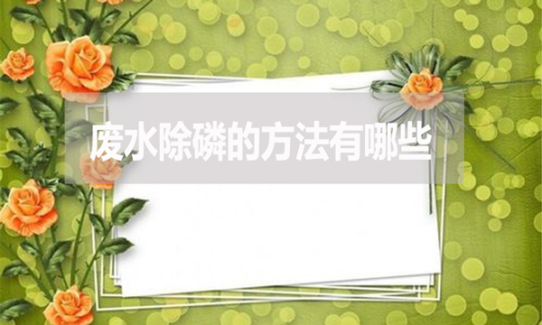 廢水除磷的方法有哪些？