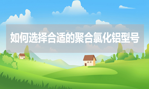 如何選擇合適的聚合氯化鋁型號(hào)?