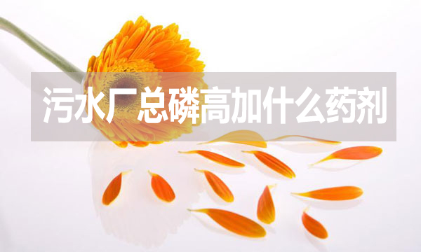 污水廠總磷高加什么藥劑？