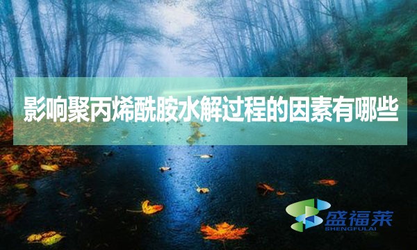 影響聚丙烯酰胺水解過程的因素有哪些？