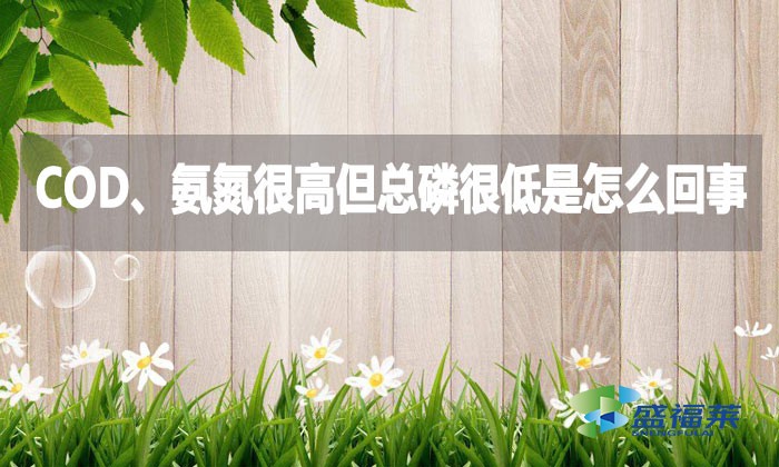 COD、氨氮很高但總磷很低是怎么回事