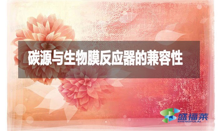 碳源與生物膜反應器的兼容性