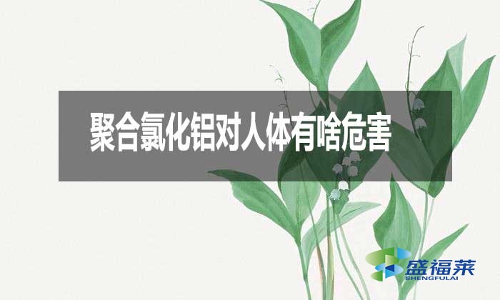 聚合氯化鋁對人體有啥危害？