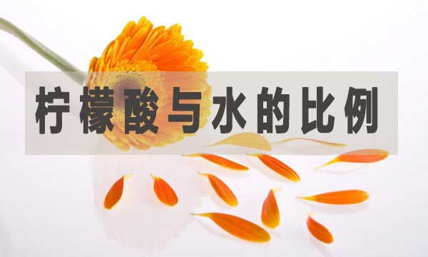 檸檬酸與水的比例是多少？如何調(diào)配？